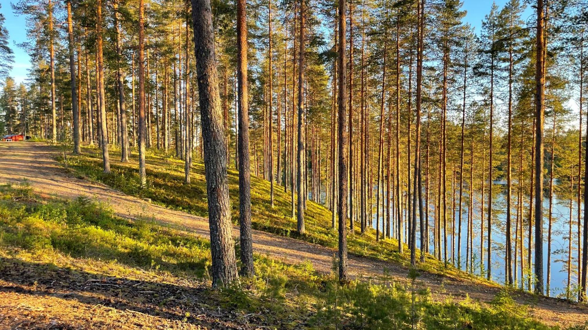 Ahvenlampi Camping Saarijärvi Esterno foto